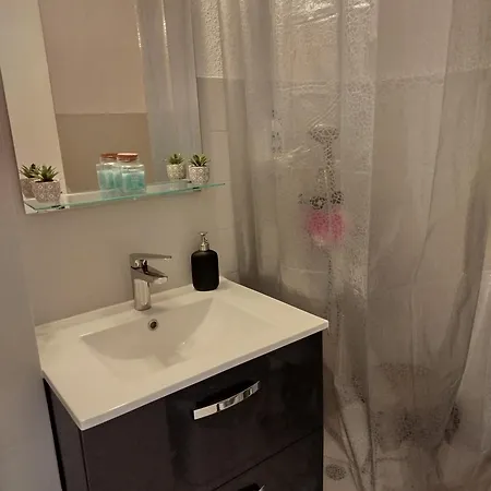 Face Aux Pistes Apartment *